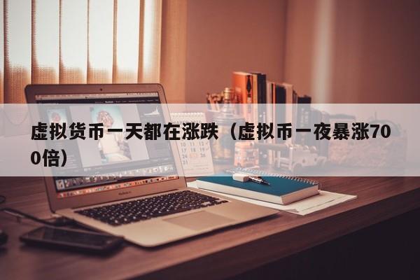 虚拟货币一天都在涨跌(虚拟币一夜暴涨700倍)