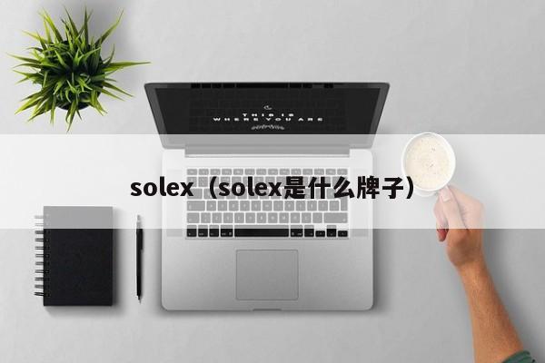 solex(solex是什么牌子)