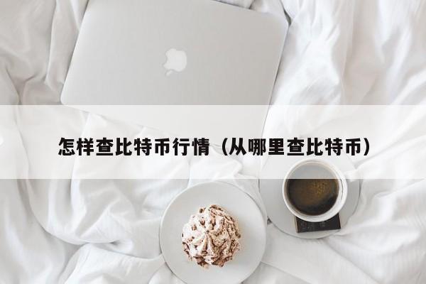 怎样查比特币行情(从哪里查比特币)