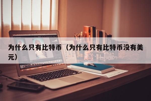 为什么只有比特币(为什么只有比特币没有美元)