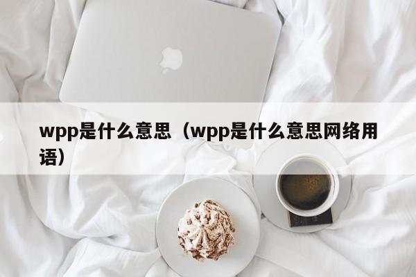 wpp是什么意思(wpp是什么意思网络用语)