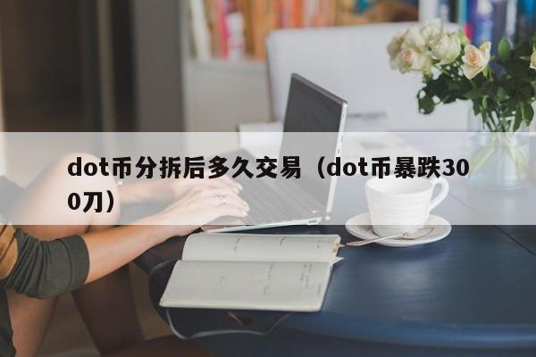 dot币分拆后多久交易(dot币暴跌300刀)