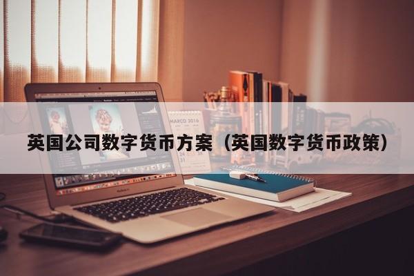 英国公司数字货币方案(英国数字货币政策)