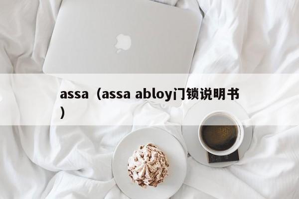 assa(assa abloy门锁说明书)