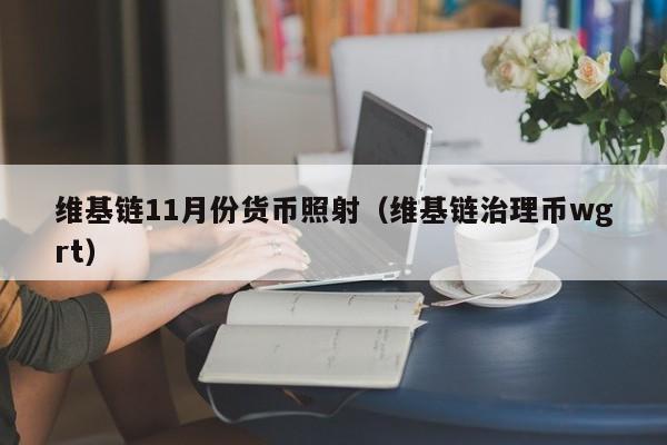 维基链11月份货币照射(维基链治理币wgrt)