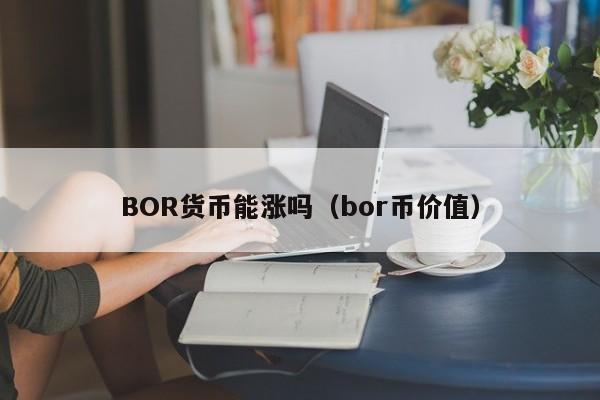 BOR货币能涨吗(bor币价值)