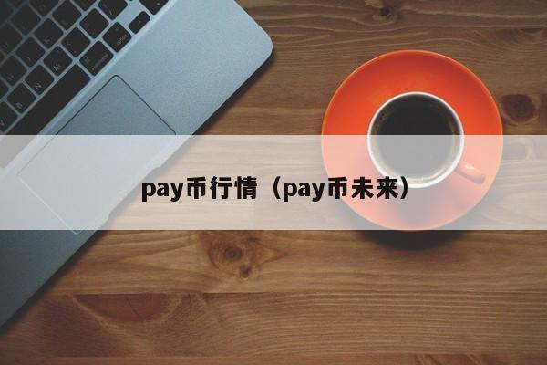 pay币行情(pay币未来)