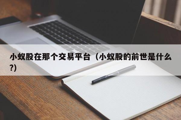 小蚁股在那个交易平台(小蚁股的前世是什么?)