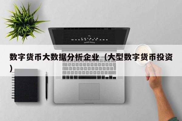 数字货币大数据分析企业(大型数字货币投资)