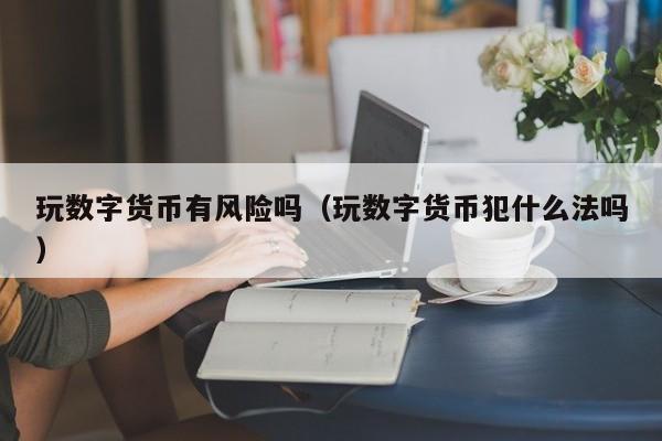 玩数字货币有风险吗(玩数字货币犯什么法吗)