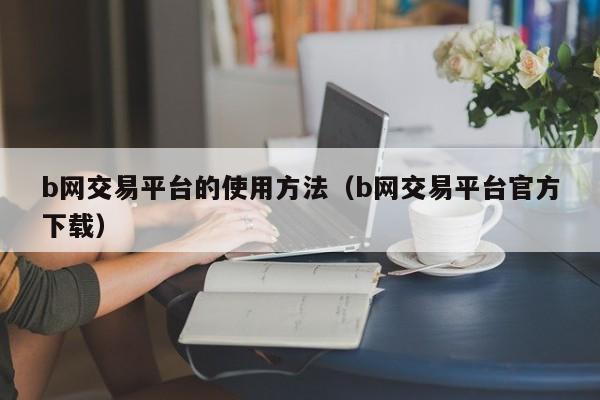 b网交易平台的使用方法(b网交易平台官方下载)