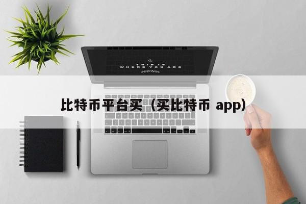 比特币平台买(买比特币 app)