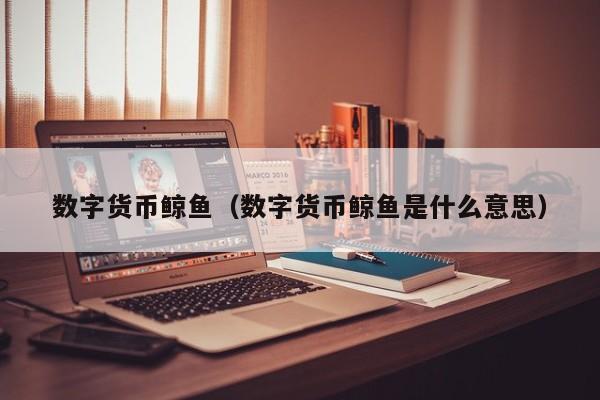 数字货币鲸鱼(数字货币鲸鱼是什么意思)