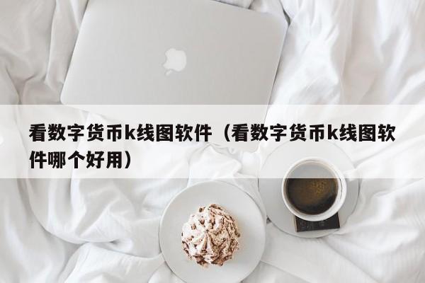 看数字货币k线图软件(看数字货币k线图软件哪个好用)