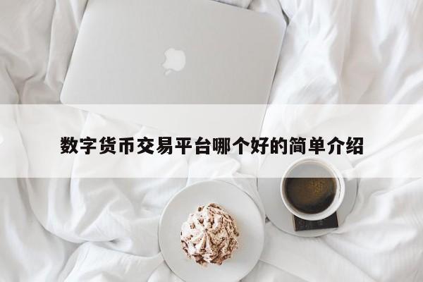 数字货币交易平台哪个好的简单介绍