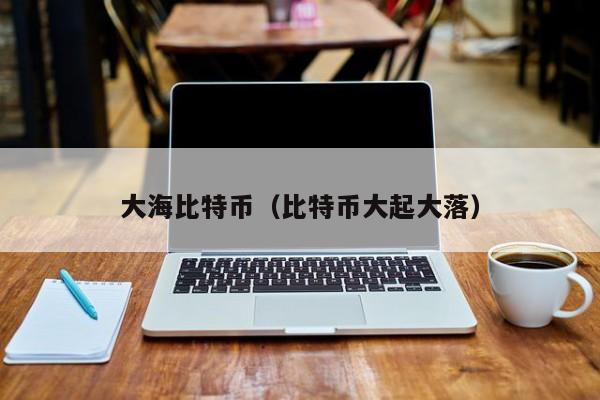 大海比特币(比特币大起大落)