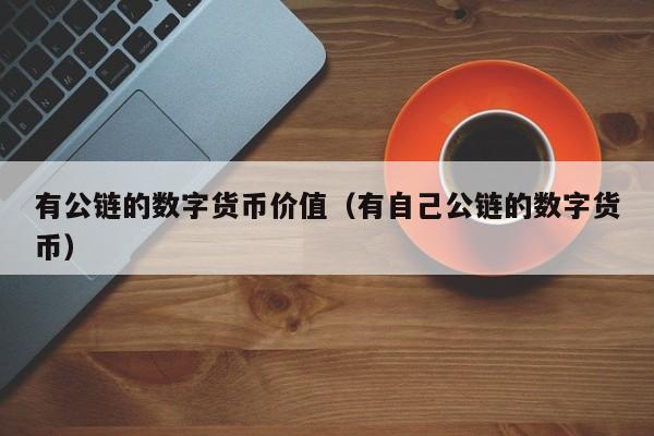 有公链的数字货币价值(有自己公链的数字货币)