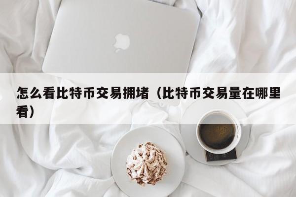 怎么看比特币交易拥堵(比特币交易量在哪里看)